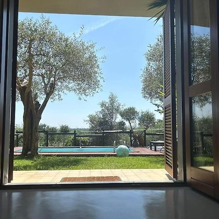 Villa Villacolle Massarosa Exterior foto