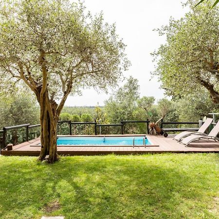 Villa Villacolle Massarosa Exterior foto