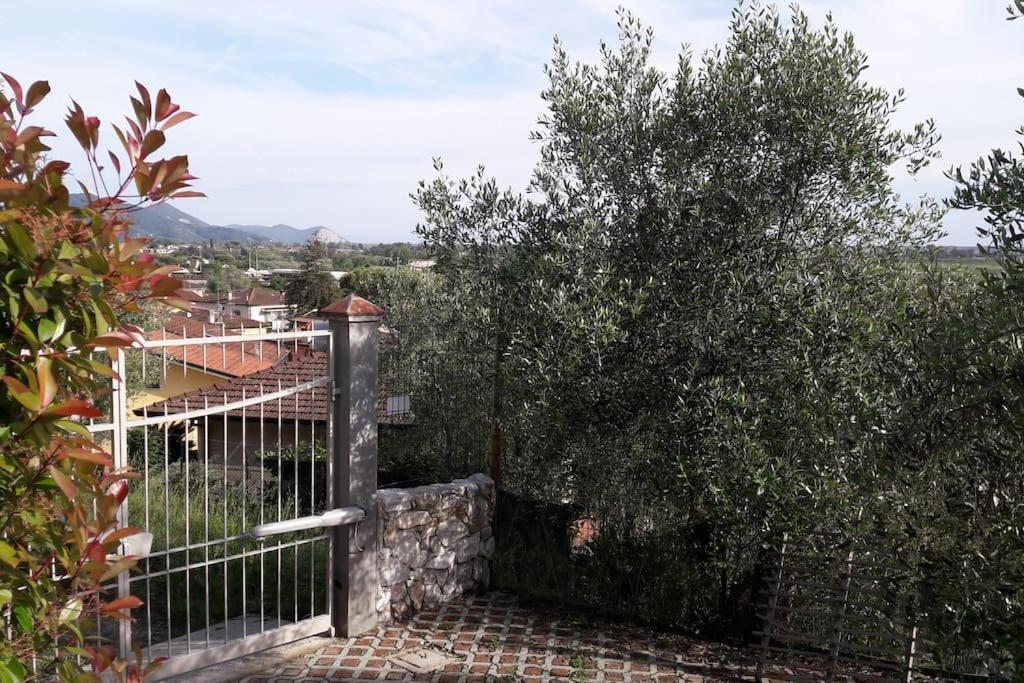 Villa Villacolle Massarosa Exterior foto